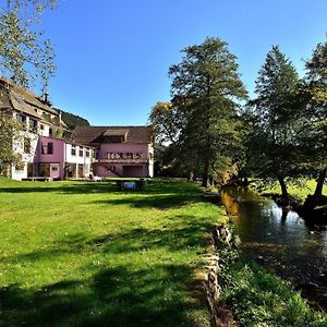 Logis Hotel Des Vosges